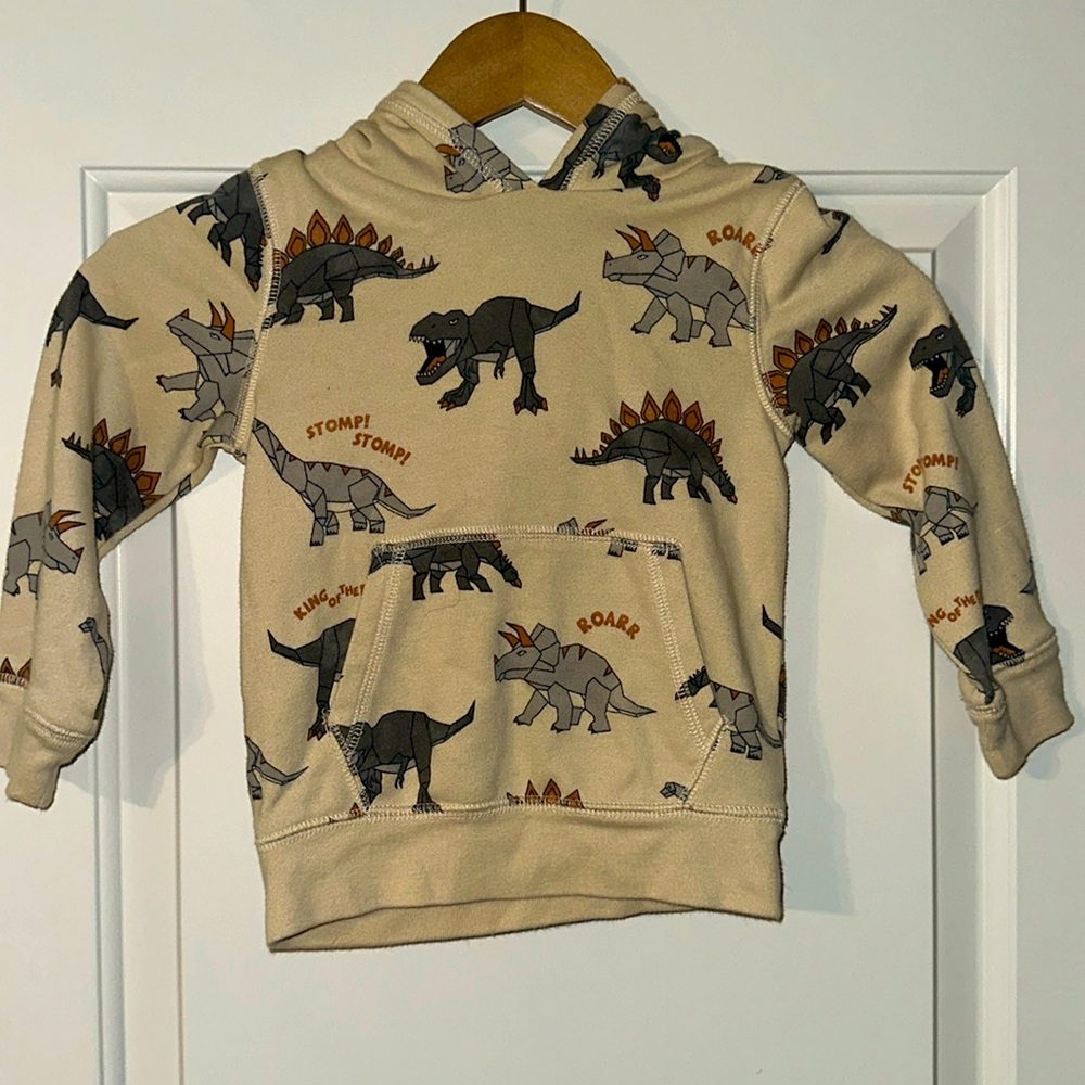Fun dinosaur hoodieby Garanimals